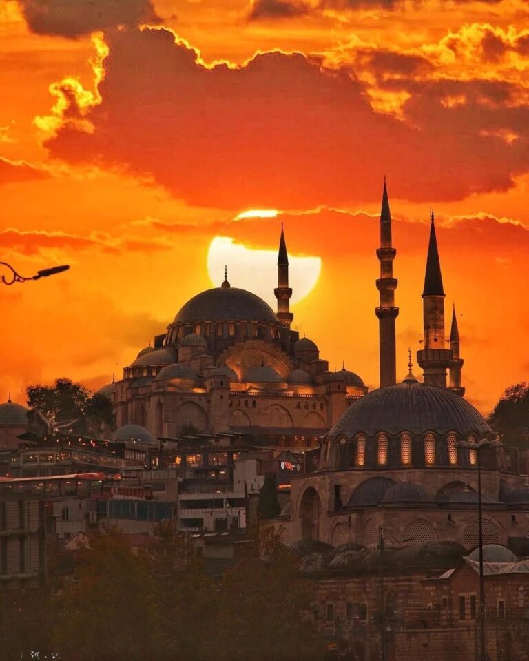 ANLAYINCA SEN DE KOŞACAKSIN
