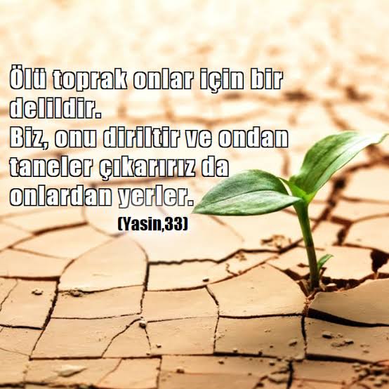 YASİN SURESİ 2. BÖLÜM